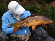 Summer Carp On The Fly Vol. I - Gallery