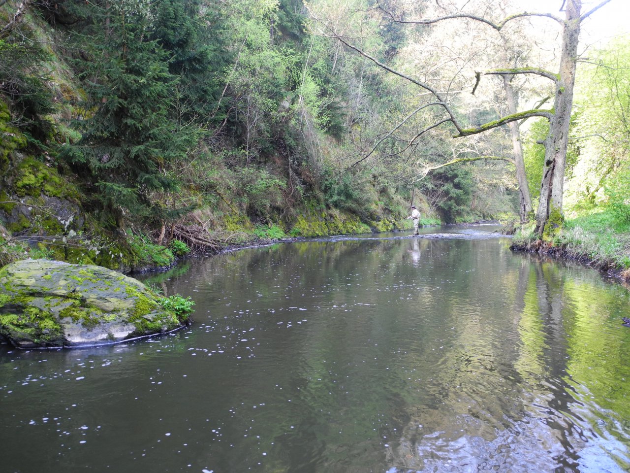 Nymphing on St�ela