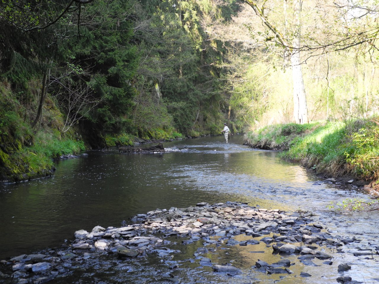 Nymphing on St�ela