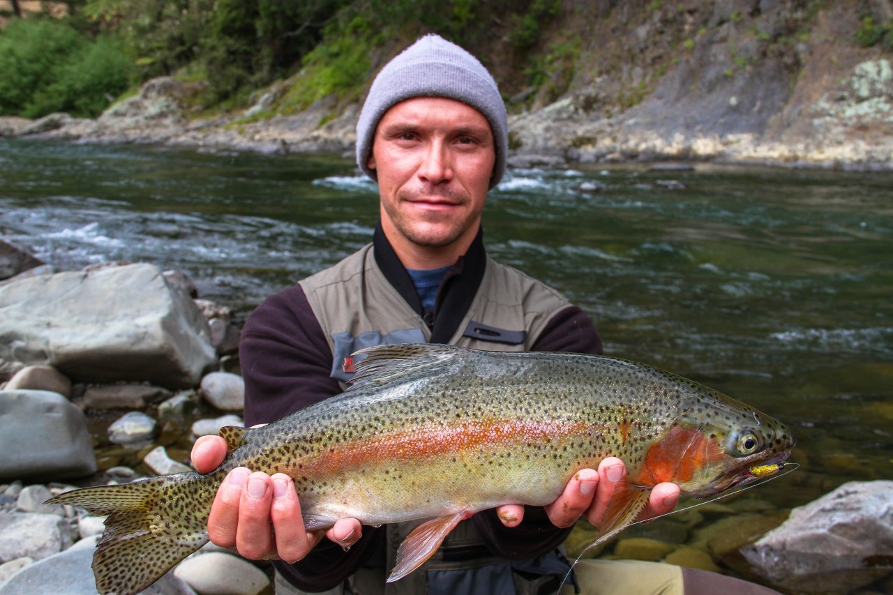 Rainbow Trout