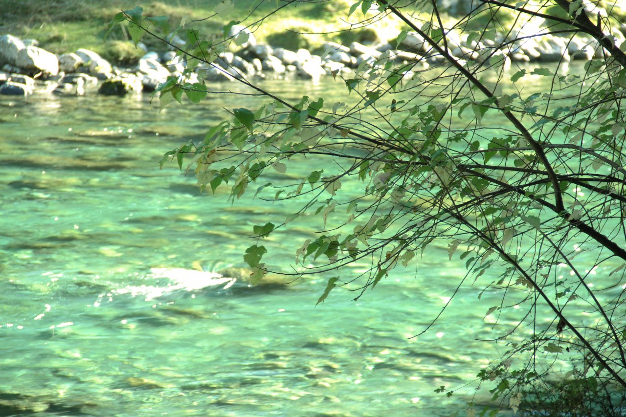 Could it be any better