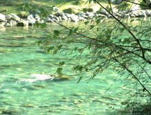 Could it be any better