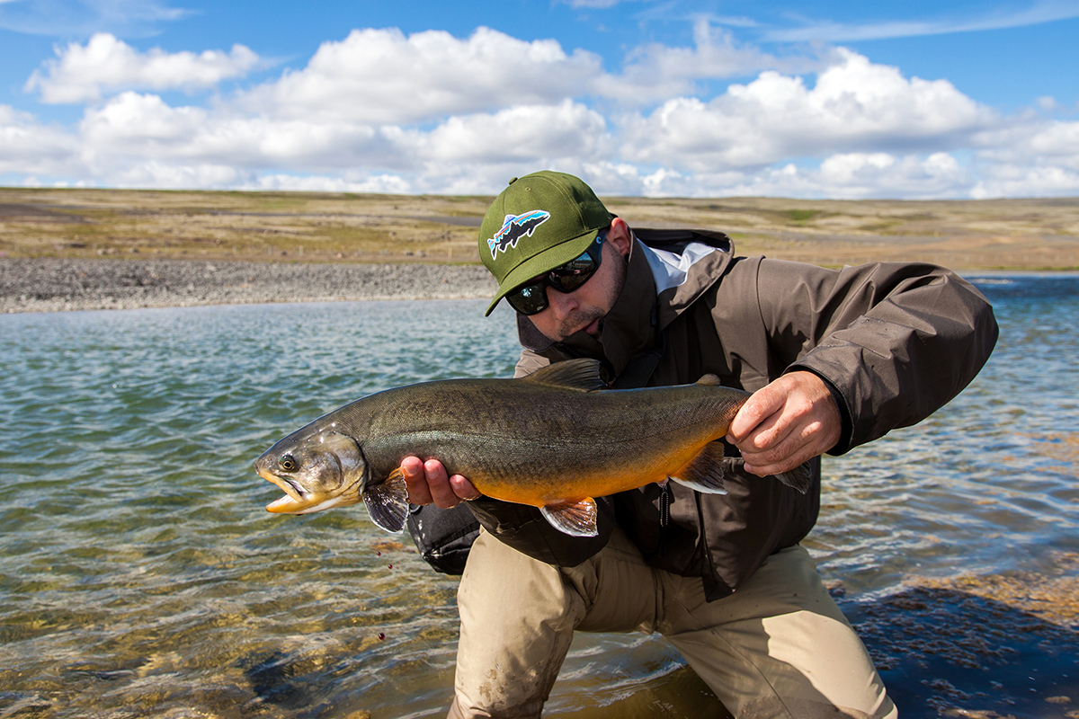 Author with a Beautiful Char