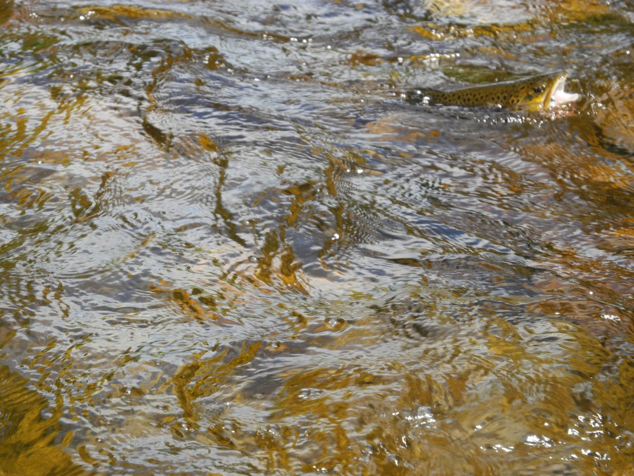 Nothing special on this picture...