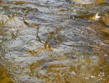 Nothing special on this picture...