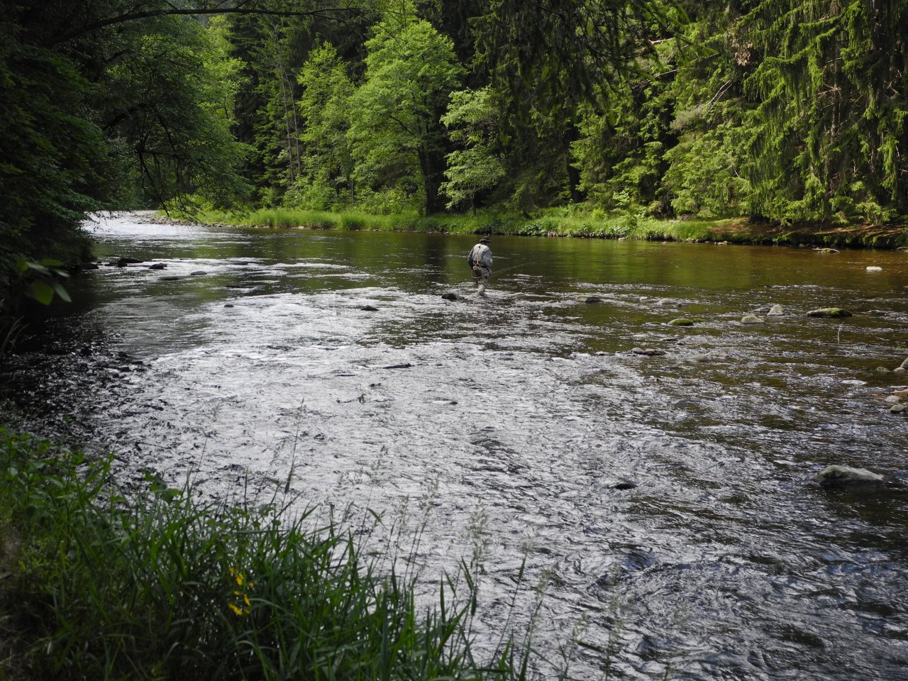 Crossing Otava river