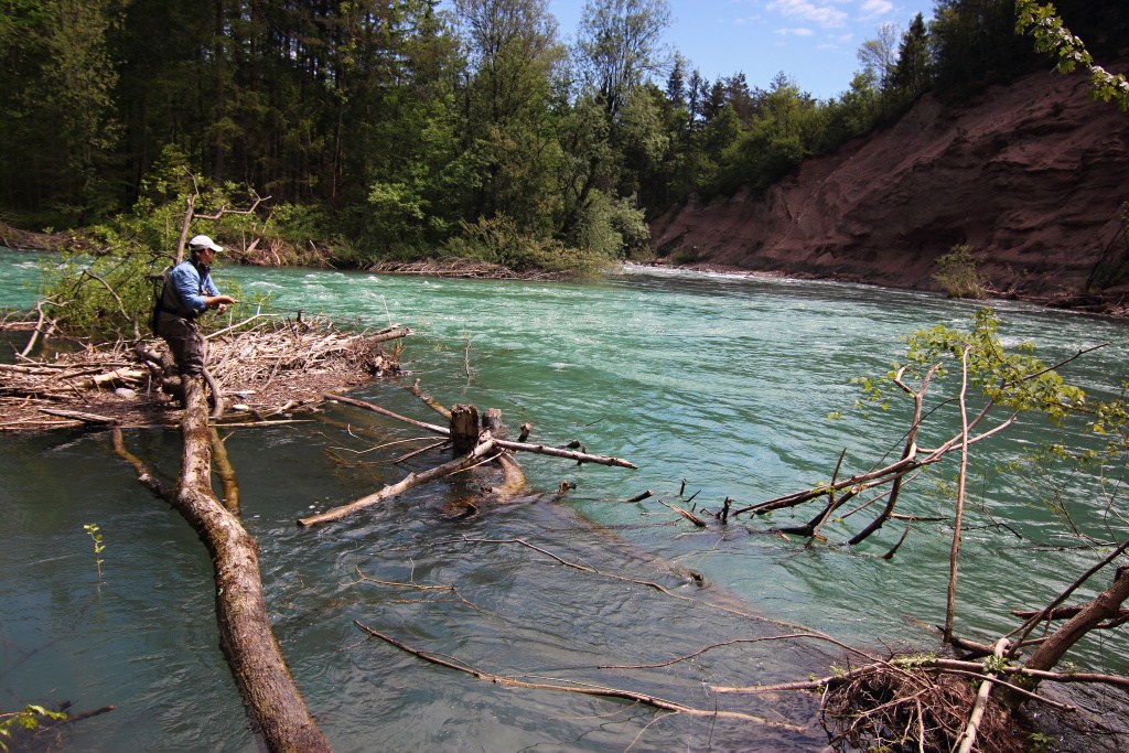 Waiting for the Biggest!