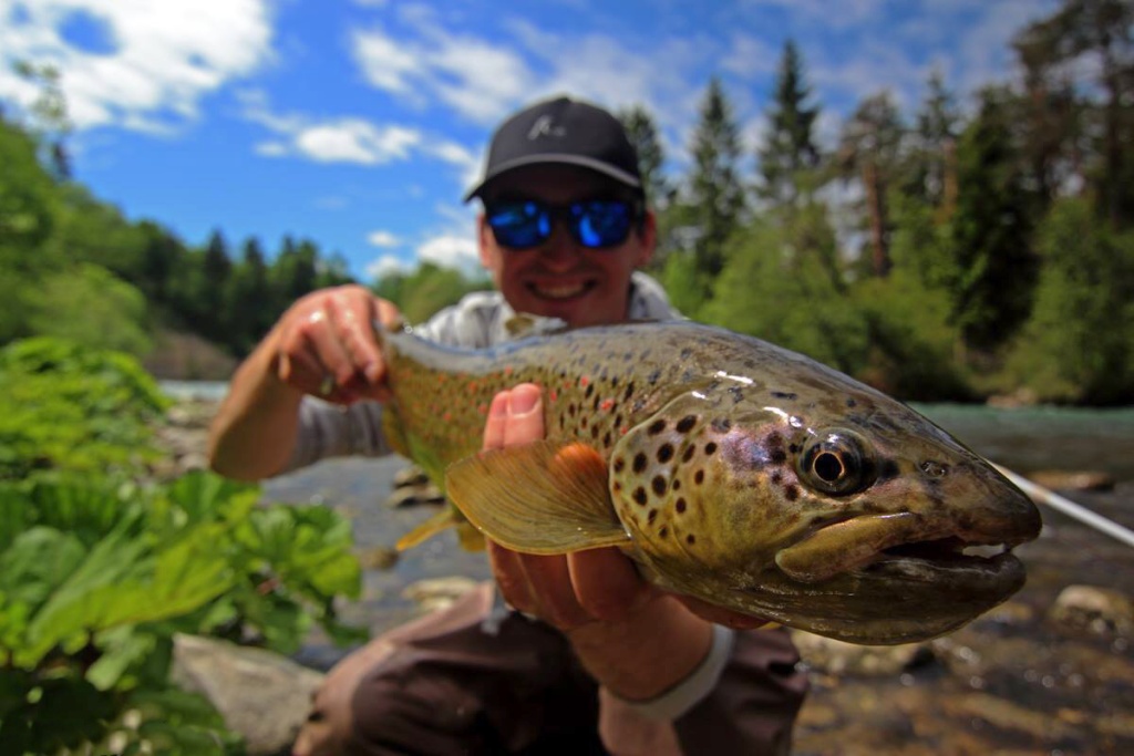 Hard fighting Brownie