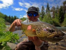 Hard fighting Brownie