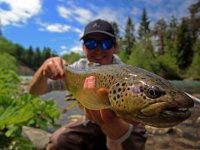 Spring Fly Fishing in Slovenia