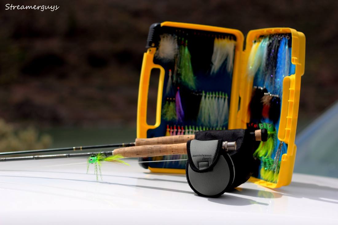 Ready for searching of Blackbass