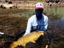 Jiří and his Goldie