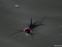 Break before the next splash