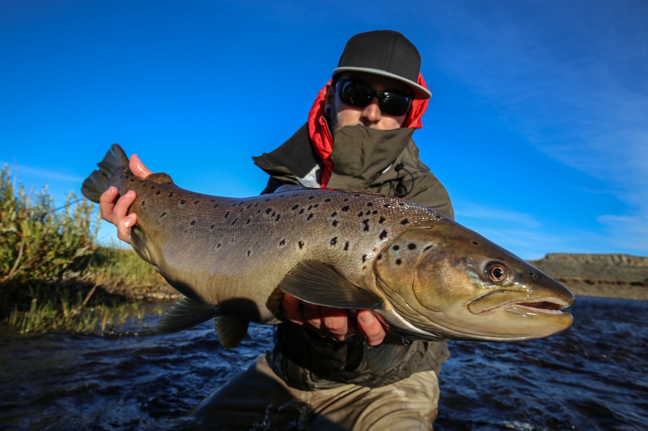 Jozef and his 1st sea trout
