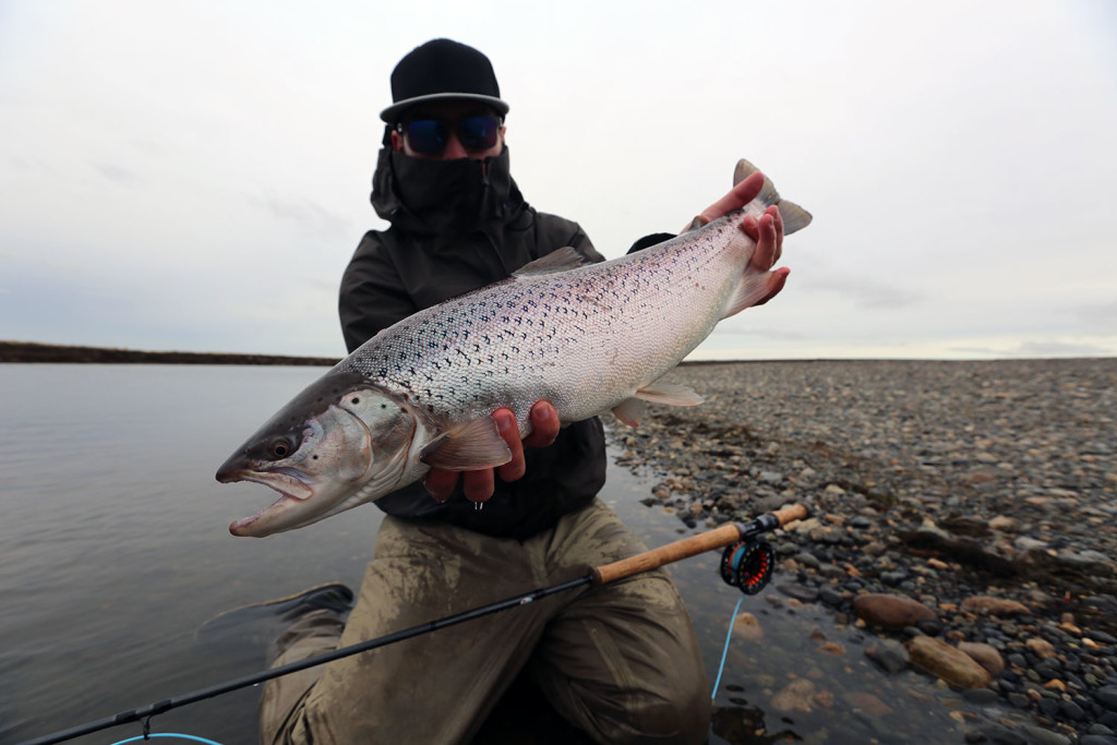 Another heavy torpedo