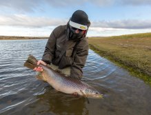 Josef & Personal Best