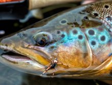 Cooper John Rubber Legs