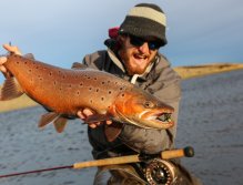 Lovely colored trout