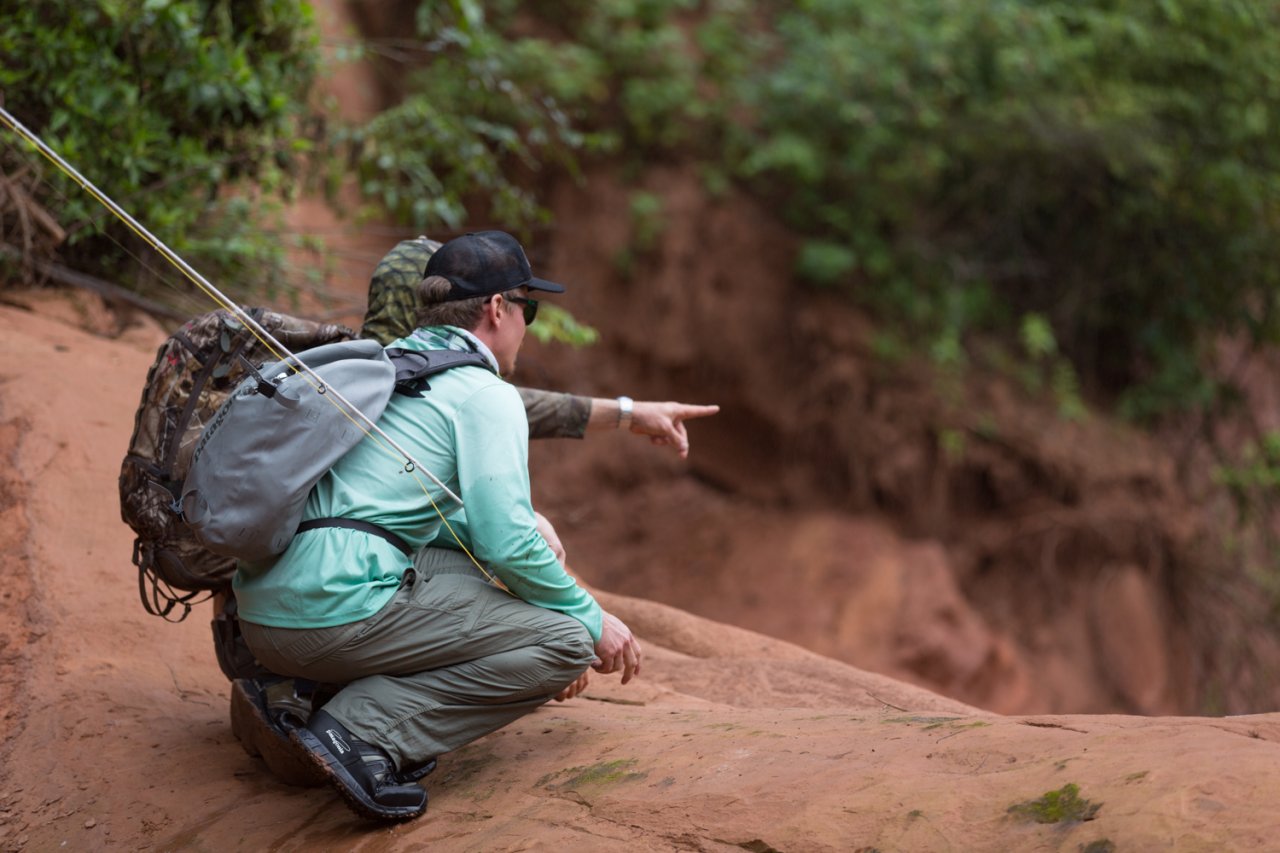 Searching for a gold...