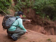 Searching for a gold...