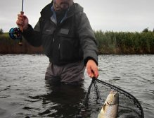 The last centimeters...