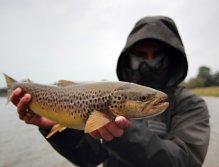 Darth Vader in action