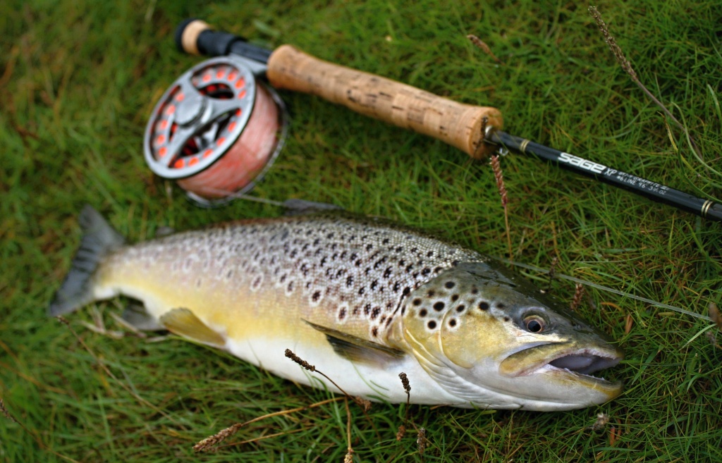 Nice sea trout & guality fly gear