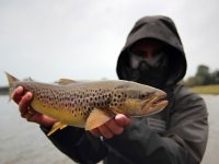 Fly Fishing For Danish Sea Trout by StreamerGuys