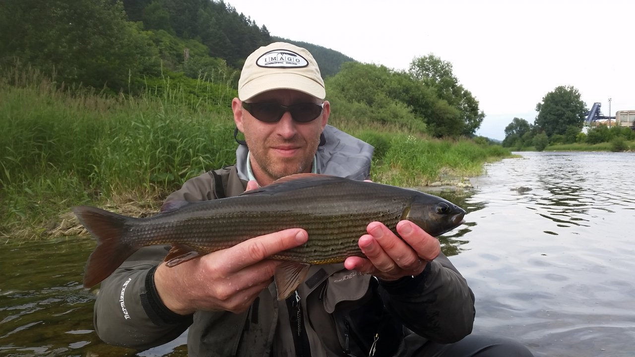 Nice Grayling from V�h