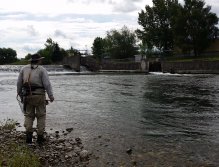 River Váh, the beginning of Catch & Release section