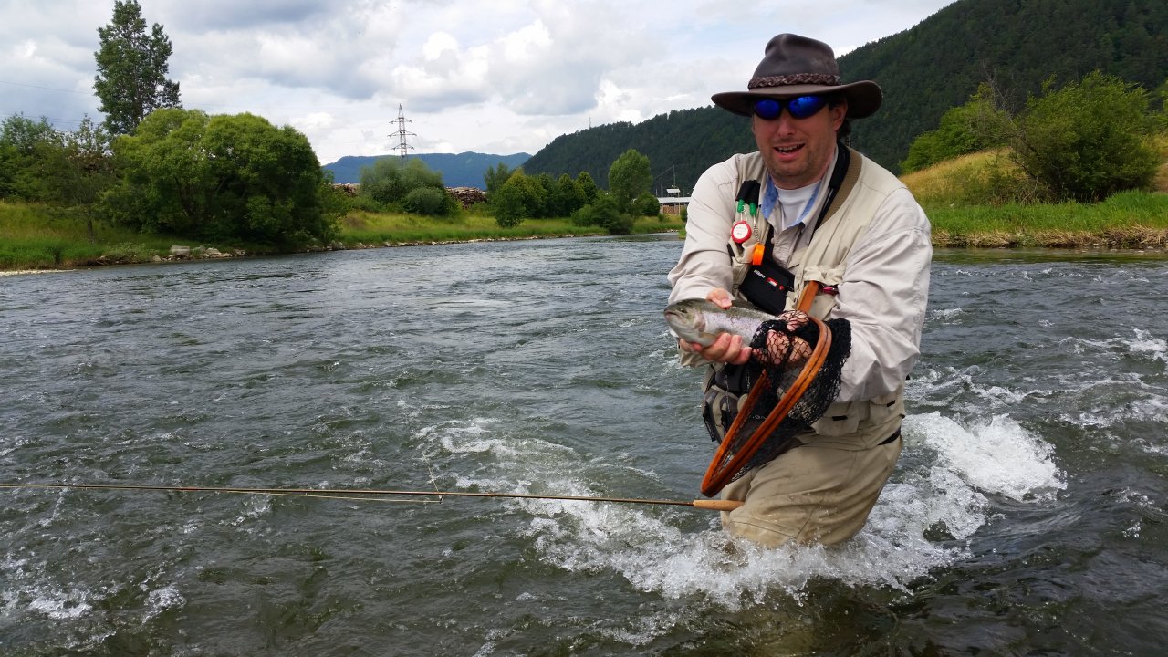 Rainbow trout from river V�h