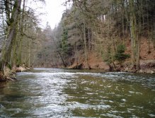 Nice part of the river hides many surprises