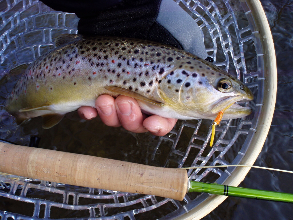 Look at those spots!