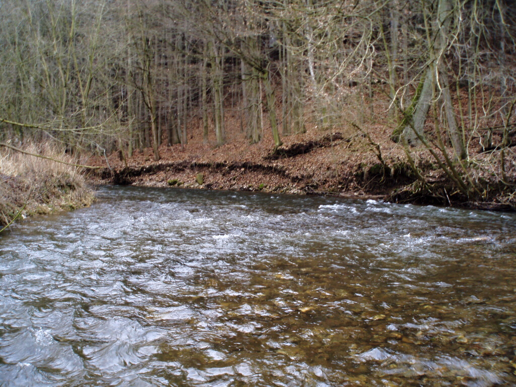 Really nice part of the river