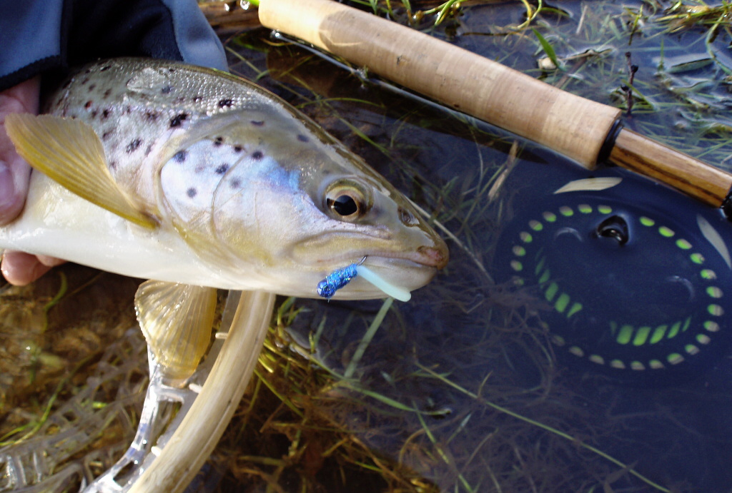 Sometimes it's good to experiment... "Blue Worm" 