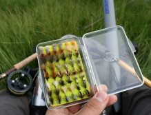 Which one should I try now?