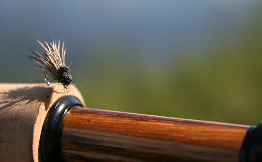 Balloon Caddis - Great pattern for hungry chub and trout of course