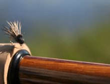 Balloon Caddis - Great pattern for hungry chub and trout of course