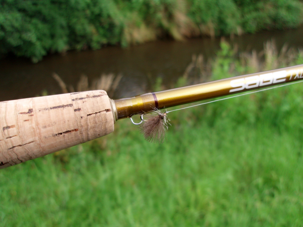 First choice - Championship Caddis ready to action!