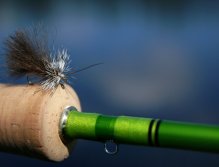 High Rider CDC Sedge - Resting on my rod and ready to unsinkable dry fly fishing.