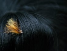 Cinnamon Championship Caddis - Simple, light and very effective. But silence now, it is time for a favorite idyll in the black girl's hair.