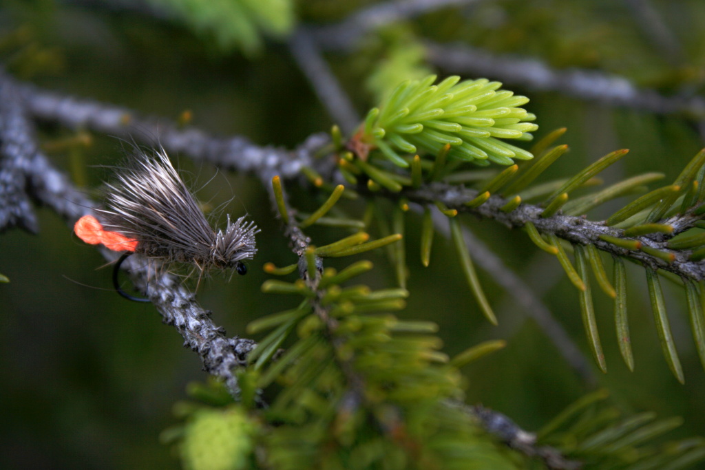 SR CDC Double Wing Caddis - Modern dry fly for brown and rainbow trout and chub as you well know.