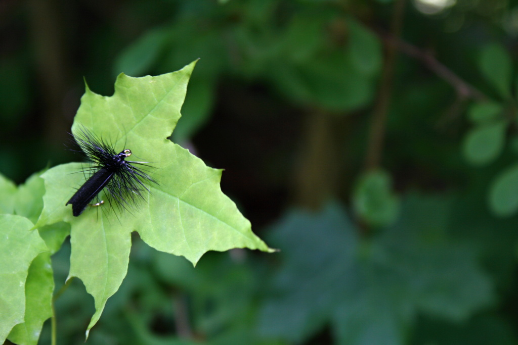Caddis Black - Lovely big black caddis pattern. Great fly for overgrown parts on the river, where are waiting the biggest of the biggest!