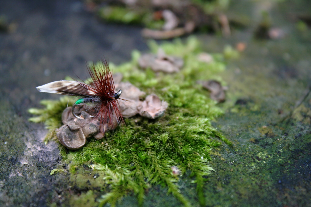 Grannom Sedge - Adorable small classics with an eye-up. My favorite traditionally tied sedge pattern with big potential!