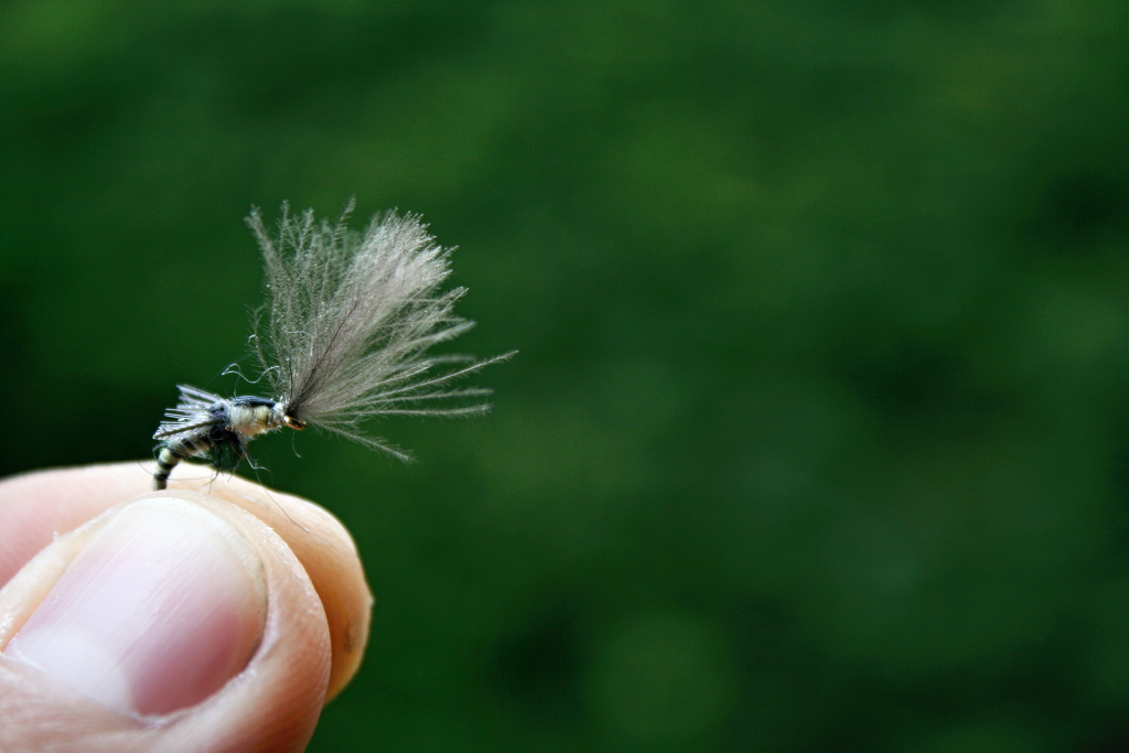 Grannom Pupa CDC Emerger - Gotcha! Very nice nature colored dry fly pattern for trout and grayling! 