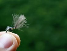 Grannom Pupa CDC Emerger - Gotcha! Very nice nature colored dry fly pattern for trout and grayling!