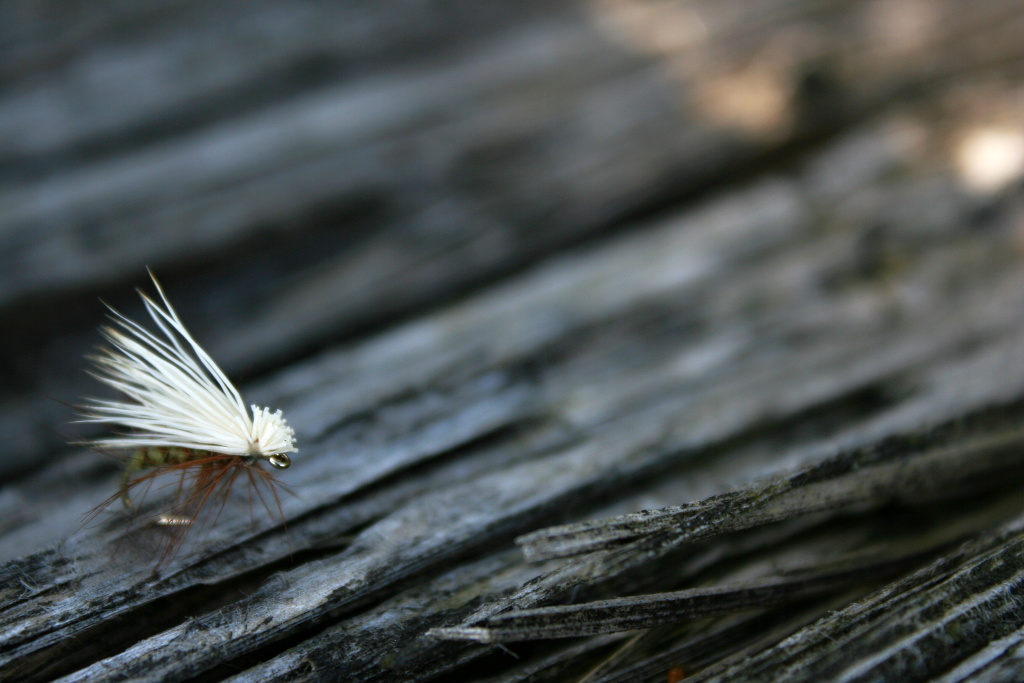 Elk Wing Caddis - Time-tested classic! Great and simple trout fly.