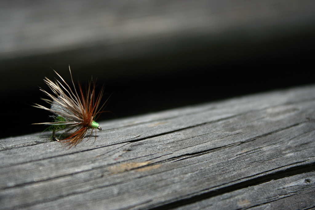 Hi-Float Caddis - Small dry fly with devastating results. Native rainbows love it!