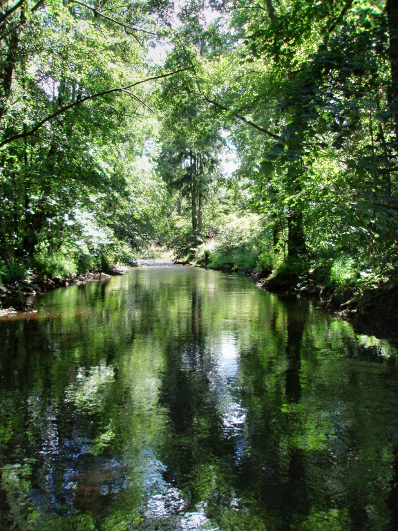 Great place for all fly techniques. But dry fly wins for me!