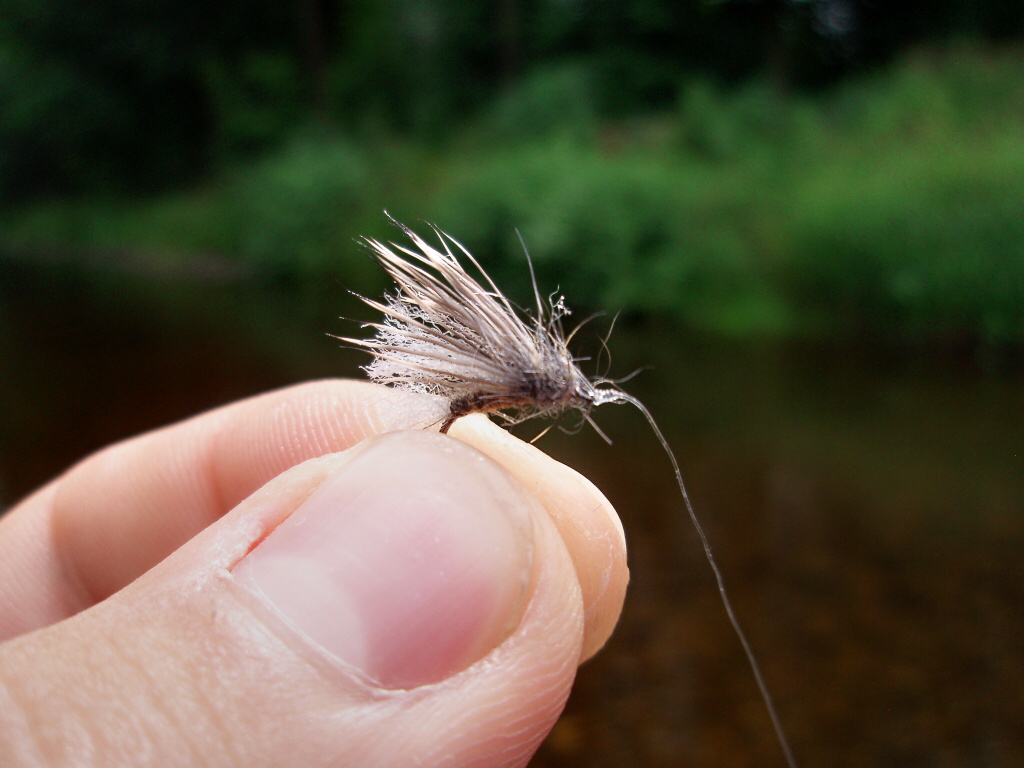 Retirer Sedge incantation - Go and Fish!